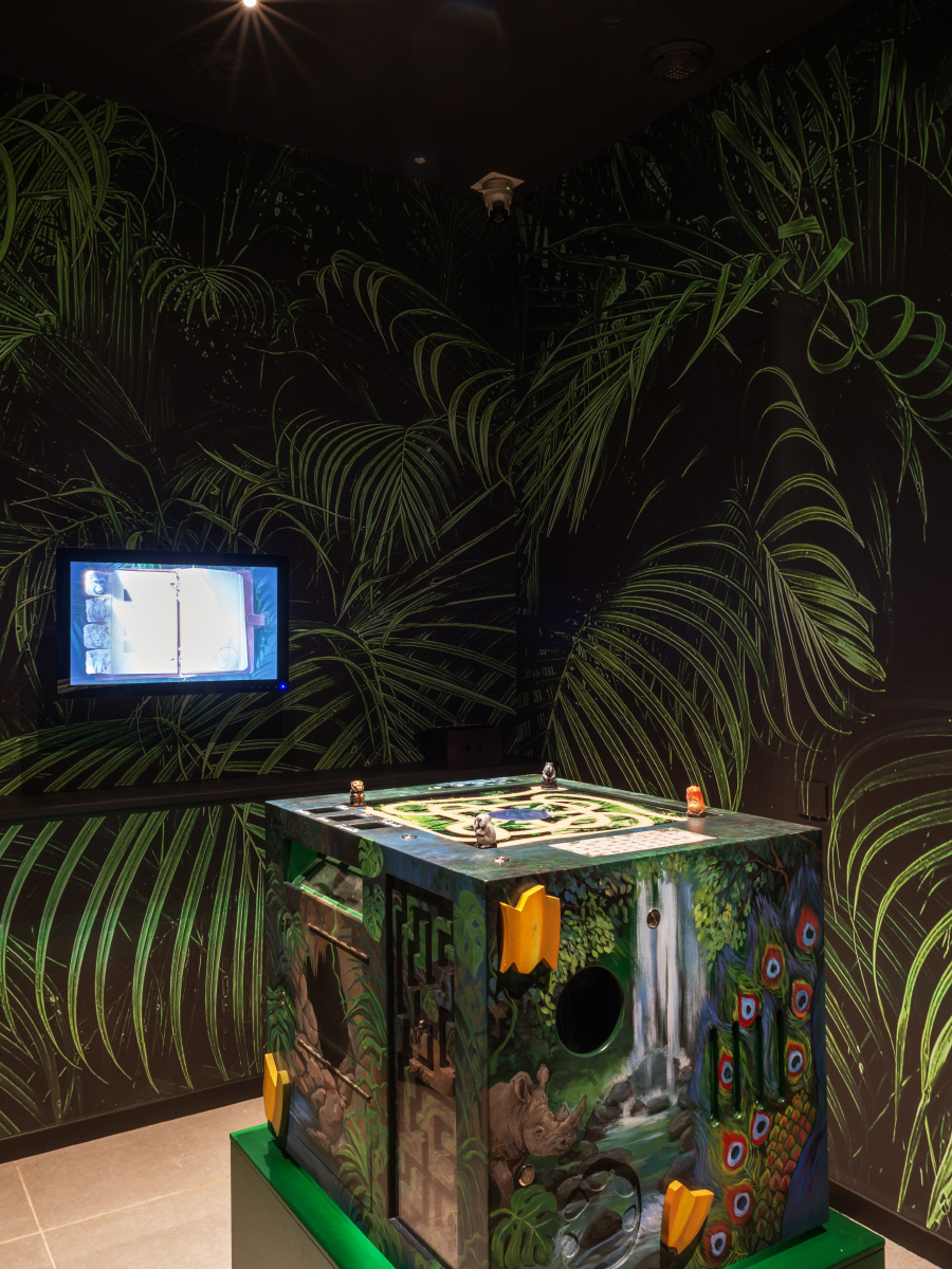 Escape Box Jungle I-WAY